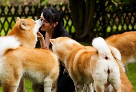 64683637 2702849786409951 2852891623610646528 n