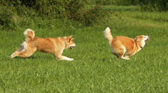 64754822 2699393250088938 8749249119580585984 o