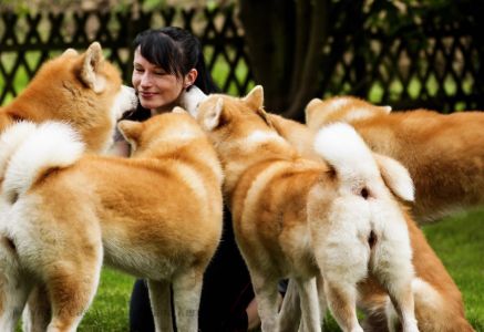 64824679 2702851136409816 7077956595996426240 o