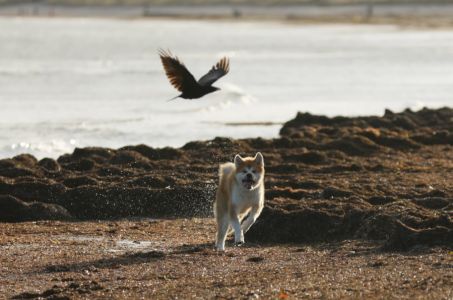 78159904 3037468059614787 5847563910118375424 n