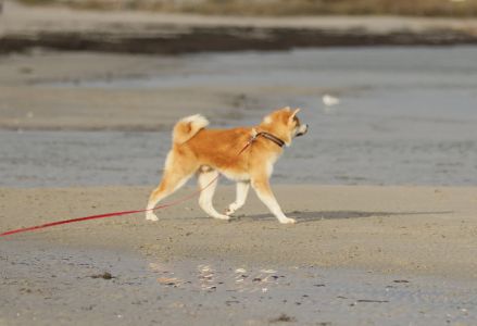 79107957 3037467966281463 3060254478612561920 n