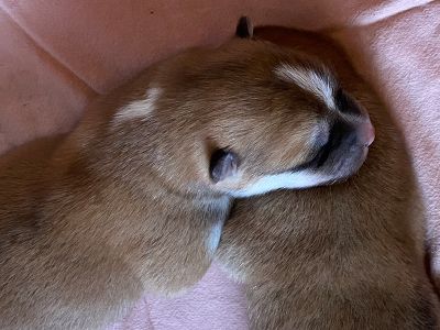 Photo 02.04.20  12 25 32