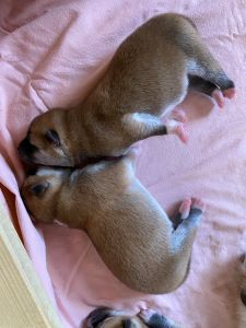 Photo 02.04.20  12 27 12