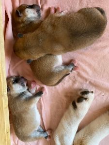 Photo 02.04.20  12 29 17