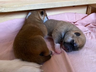 Photo 02.04.20  13 06 25