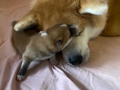 Photo 02.04.20  16 13 15