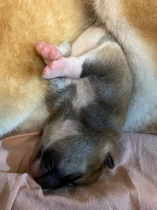 Photo 02.04.20  18 34 04