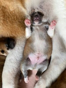 Photo 03.04.20  12 19 51