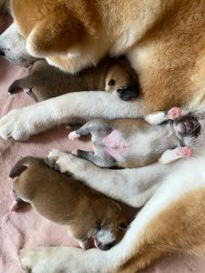 Photo 03.04.20  12 19 56