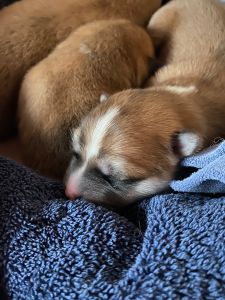 Photo 31.03.20  19 17 17