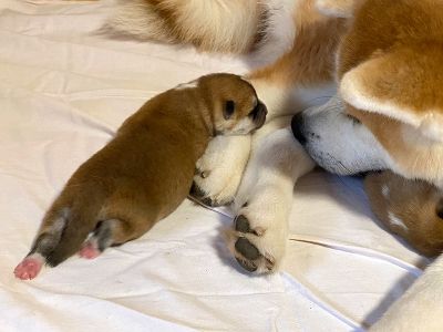 Photo 03.04.20  18 25 21