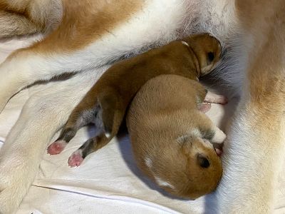 Photo 03.04.20  18 26 20