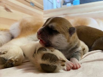 Photo 03.04.20  18 40 10