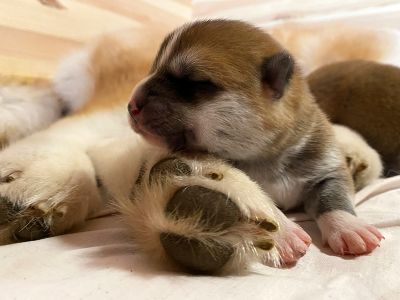 Photo 03.04.20  18 40 19