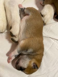 Photo 03.04.20  18 41 39