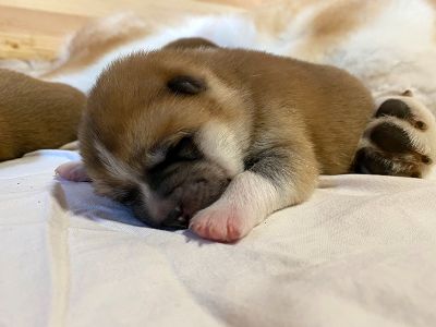 Photo 03.04.20  18 43 00