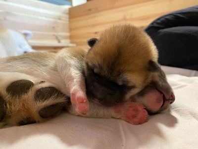 Photo 03.04.20  18 44 31