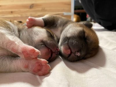 Photo 03.04.20  18 45 08