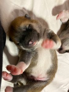 Photo 03.04.20  18 46 46