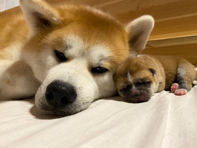 Photo 03.04.20  20 13 28