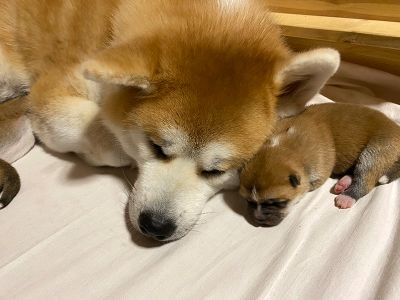 Photo 03.04.20  20 13 33