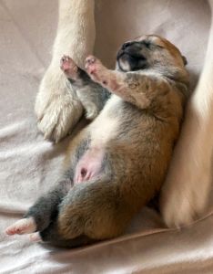 Photo 09.04.20  12 23 08