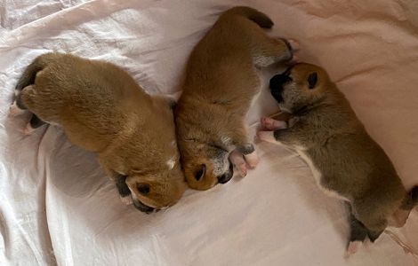 Photo 09.04.20  13 34 47