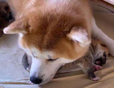 Photo 10.04.20  17 42 50