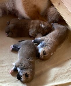 Photo 11.04.20  09 33 04