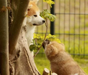 97780830 3430741226954133 1899375404628574208 n