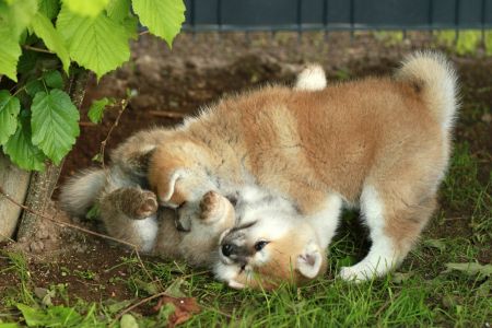 97868765 3426281337400122 8786923133887053824 o