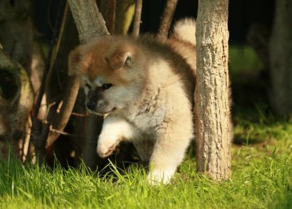 97998607 3426279714066951 547026413710999552 o