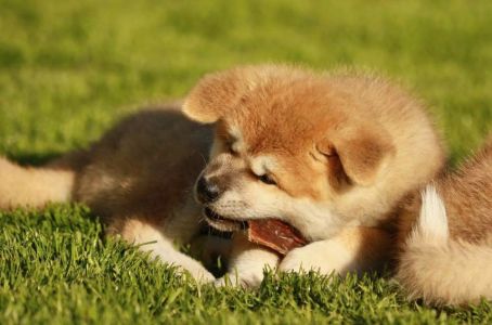 101818561 3465020810192841 2240611561318121472 n