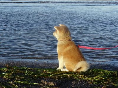 101797177 3469662833061972 1065848696312168448 n