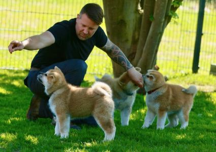 101826687 3469072746454314 6497592878062108672 n