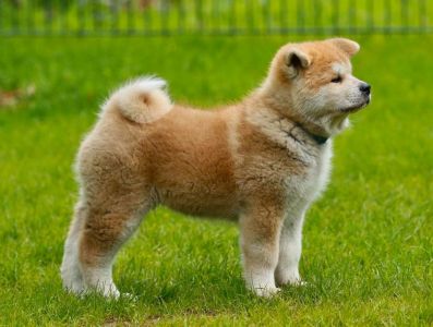 101836413 3476153085746280 5933311858441191424 n