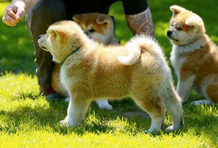 101838968 3469072193121036 3975623201798488064 n