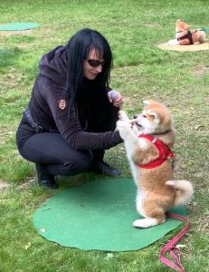 101951324 3483116228383299 3840819192698323966 n