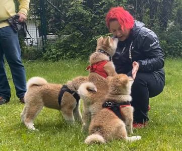 102385460 3483116251716630 8078174812785610502 n