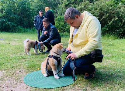 102411496 3483116131716642 1949982458311226100 n