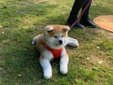 102687318 3483115925049996 7926481302662731752 n