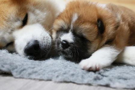 186450609 4477579395603639 718254113287125754 n