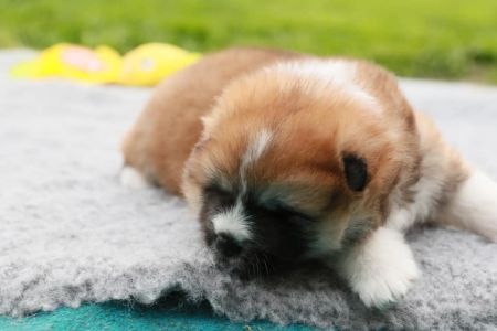 186464341 4477579588936953 5180014367846677682 n