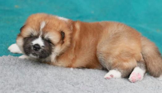 186466595 4477579698936942 8742458562553400641 n