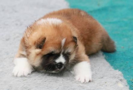 186468649 4477579408936971 3062271272909292175 n