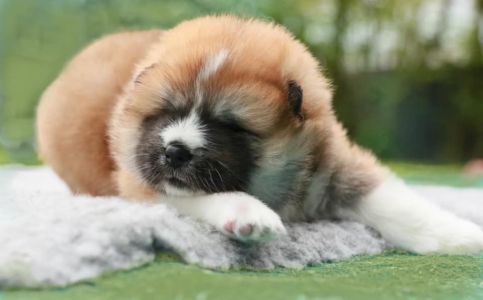 186478008 4477579198936992 5534276318182914495 n