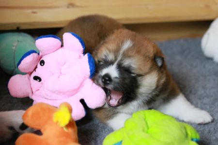 186491383 4477580112270234 7548655343662030818 n