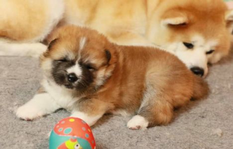 186503384 4480568121971433 4429862028785448711 n