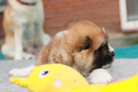 186510012 4477579598936952 1403798609006970028 n