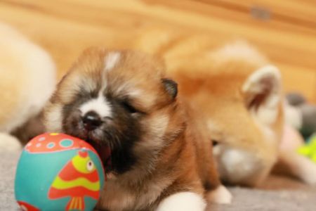 186534335 4480568255304753 2314577978637969566 n